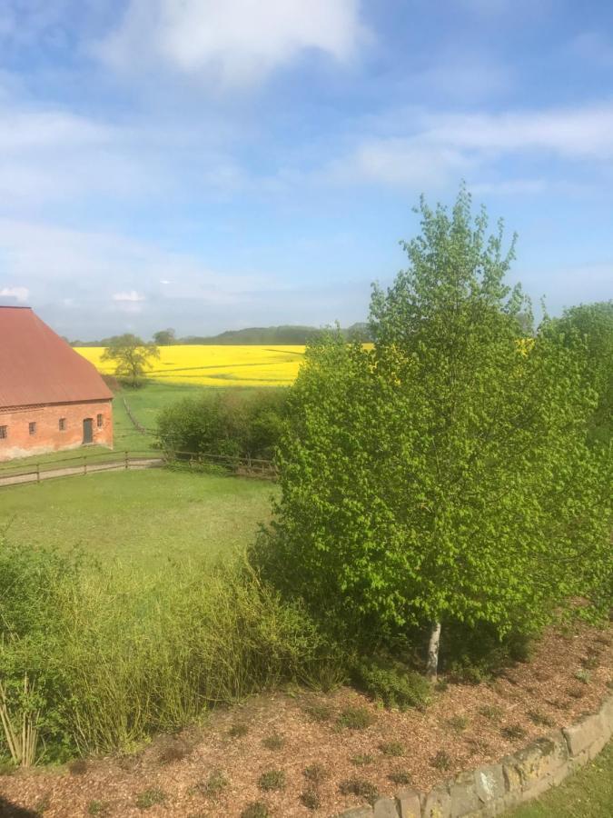 Schmuckstück in Ostseenähe Surendorf Exterior foto